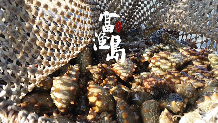 春季吃海参2.jpg